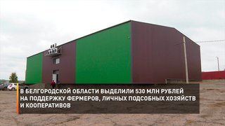 В Белгородской области выделили 530 миллионов рублей на поддержку фермеров, личных подсобных хозяйств и кооперативов