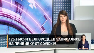 195 тысяч белгородцев записались на прививку от COVID-19