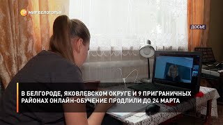 В Белгороде, Яковлевском округе и 9 приграничных районах онлайн-обучение продлили до 24 марта