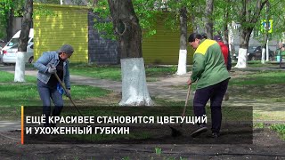 Ещё красивее становится цветущий и ухоженный Губкин