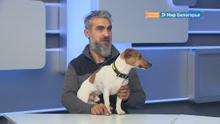 Полезные советы автопутешественникам от блогера