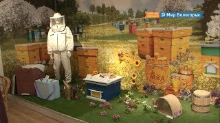 Музей мёда открылся во Владимировке 