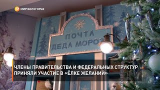 Члены правительства и федеральных структур приняли участие в «Ёлке желаний»