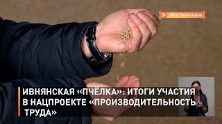 Ивнянская «Пчёлка»: итоги участия в нацпроекте «Производительность труда»