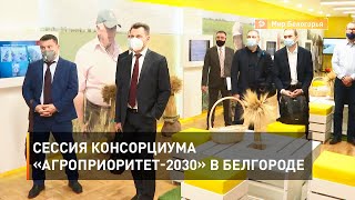 Сессия консорциума «Агроприоритет-2030» в Белгороде 