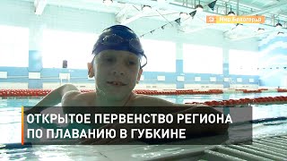 Открытое первенство региона по плаванию в Губкине 