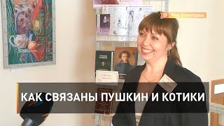 Как связаны Пушкин и котики