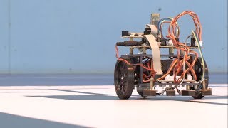 Фестиваль робототехники в Старом Осколе 