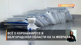 Всё о коронавирусе в Белгородской области на 16 февраля