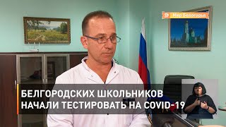 Белгородских школьников начали тестировать на COVID-19