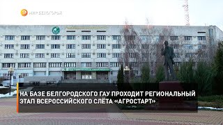 На базе Белгородского ГАУ проходит региональный этап Всероссийского слёта «АгроСтарт»