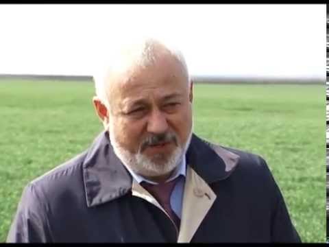 Российские аграрии изучили белгородский опыт биологизации 