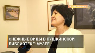 Снежные виды в Пушкинской библиотеке-музее