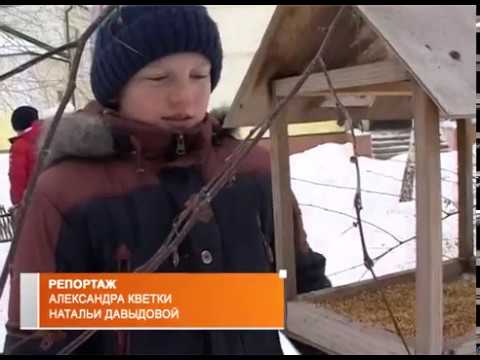 Подкормка зимующих птиц в Валуйках