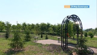 Новое место отдыха в Алексеевке