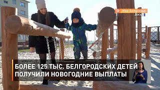 Более 125 тыс. белгородских детей получили новогодние выплаты 