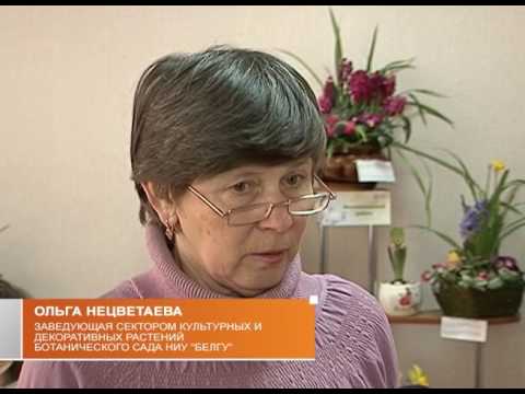 Выставка цветов в Белгороде