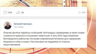 Губернатор пообещал новый питомник для бездомных животных