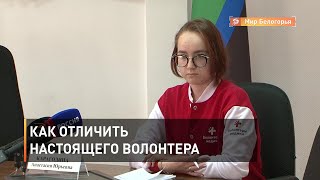 Как отличить настоящего волонтера