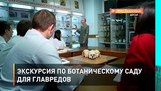 Экскурсия по ботаническому саду для главредов