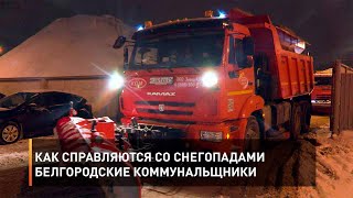 Как справляются со снегопадами белгородские коммунальщики