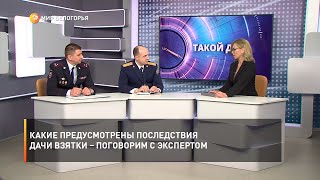 Какие предусмотрены последствия дачи взятки – поговорим с экспертом