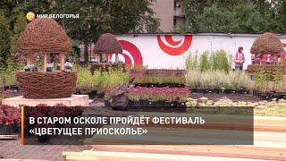 В Старом Осколе пройдёт фестиваль «Цветущее Приосколье»