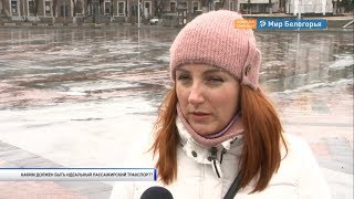 Идеальный общественный транспорт для белгородцев