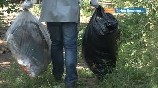 Активисты ОНФ убрали свалку в Сосновке