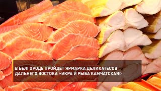 В Белгороде пройдёт ярмарка деликатесов Дальнего Востока «Икра и рыба камчатская»