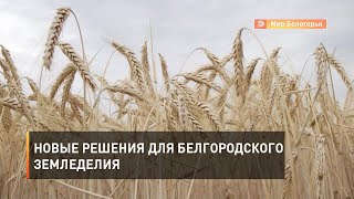 Новые решения для белгородского земледелия 