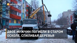 Двое мужчин погибли в Старом Осколе, спиливая деревья