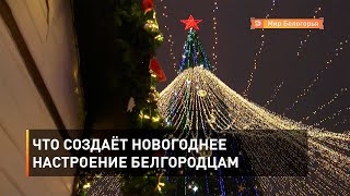 Что создаёт новогоднее настроение белгородцам 