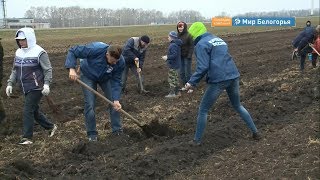 Субботник в Прохоровском районе 