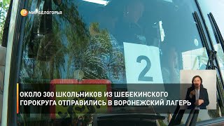 Около 300 школьников из Шебекинского горокруга отправились в воронежский лагерь