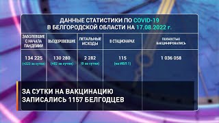 За сутки на вакцинацию записались 1157 белгородцев