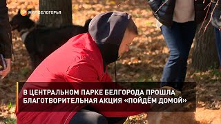 В Центральном парке Белгорода прошла благотворительная акция «Пойдём домой»