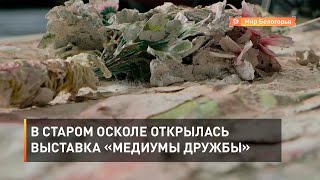 В Старом Осколе открылась выставка «Медиумы дружбы»