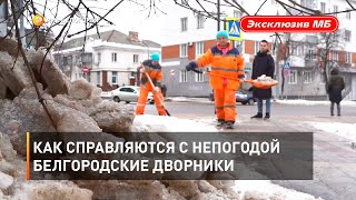Как справляются с непогодой белгородские дворники 