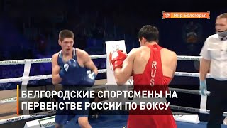 Белгородские спортсмены на первенстве России по боксу