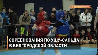 Соревнования по ушу-саньда в Белгородской области