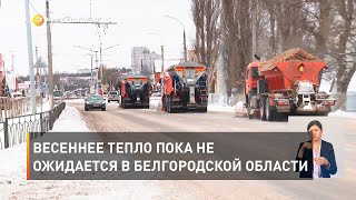 Весеннее тепло пока не ожидается в Белгородской области 