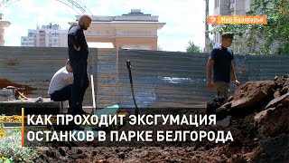 Как проходит эксгумация останков в парке Белгорода
