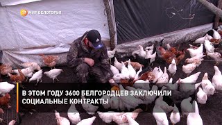 В этом году 3600 белгородцев заключили социальные контракты