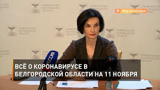 Всё о коронавирусе в Белгородской области на 11 ноября
