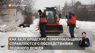 Как белгородские коммунальщики справляются с последствиями ледяного дождя