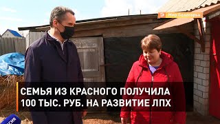 Семья из Красного получила 100 тыс. руб. на развитие ЛПХ