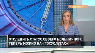 Отследить статус своего больничного теперь можно на «Госуслугах»