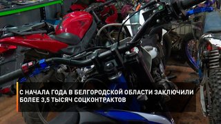 С начала года в Белгородской области заключили более 3,5 тысяч соцконтрактов