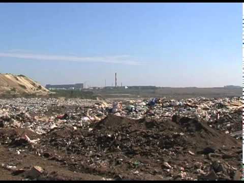 В Старом Осколе провели единый экологический день